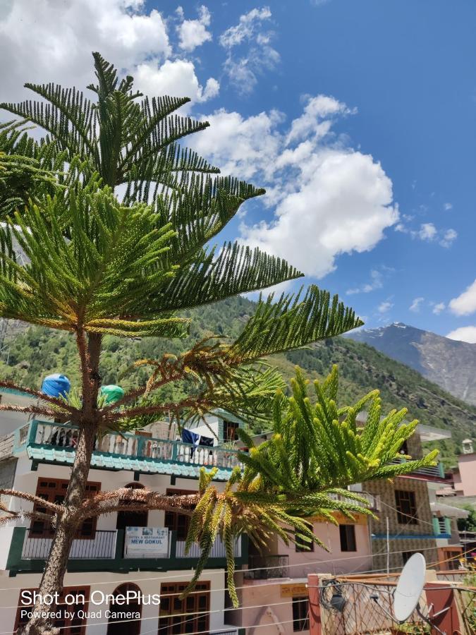 Hari Krishna Guest House Pandukeshwar Exterior photo